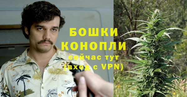 каннабис Алзамай