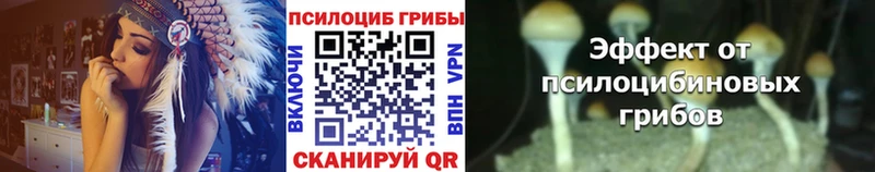 Галлюциногенные грибы MAGIC MUSHROOMS  Купить  Бежецк 